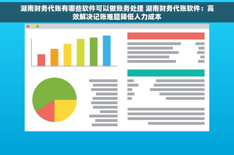 湖南财务代账有哪些软件可以做账务处理 湖南财务代账软件：高效解决记账难题降低人力成本