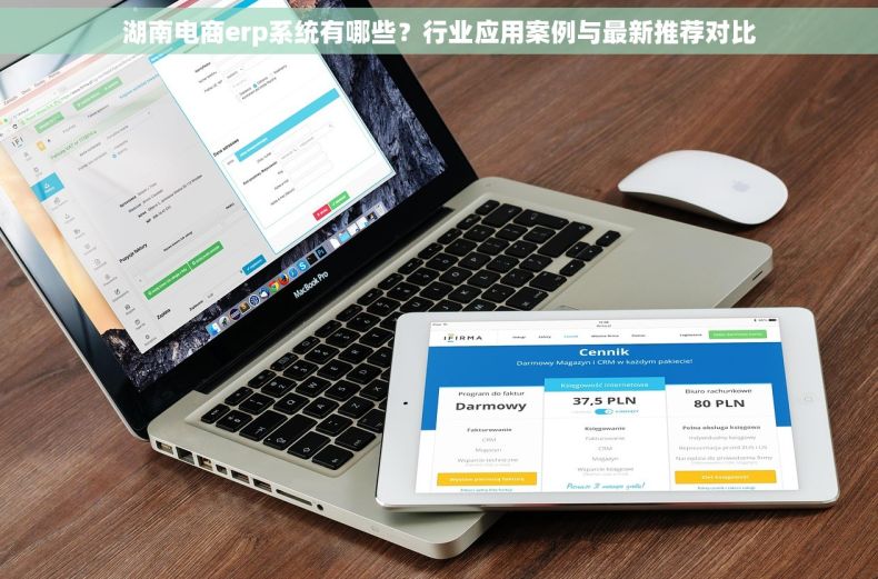 湖南电商erp系统有哪些？行业应用案例与最新推荐对比