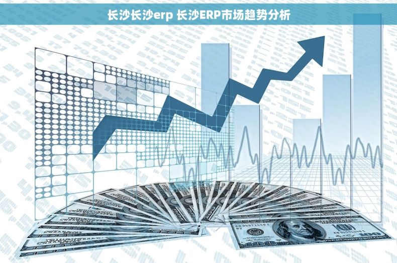 长沙长沙erp 长沙ERP市场趋势分析