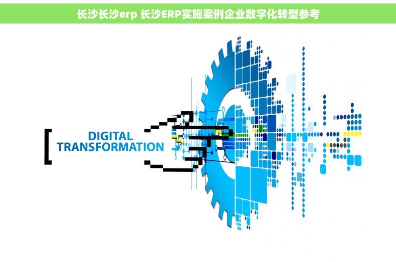 长沙长沙erp 长沙ERP实施案例企业数字化转型参考