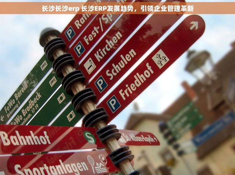 长沙长沙erp 长沙ERP发展趋势，引领企业管理革新