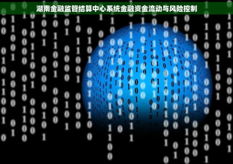 湖南金融监管结算中心系统金融资金流动与风险控制