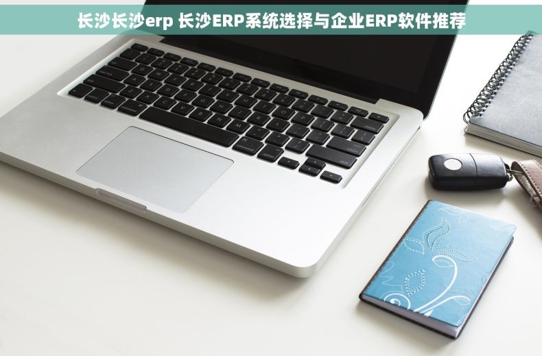 长沙长沙erp 长沙ERP系统选择与企业ERP软件推荐