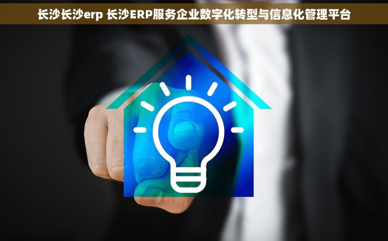 长沙长沙erp 长沙ERP服务企业数字化转型与信息化管理平台