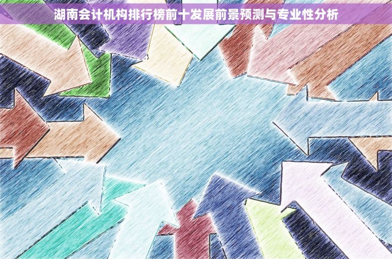 湖南会计机构排行榜前十发展前景预测与专业性分析