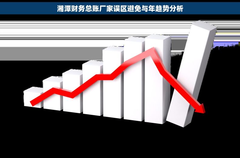 湘潭财务总账厂家误区避免与年趋势分析