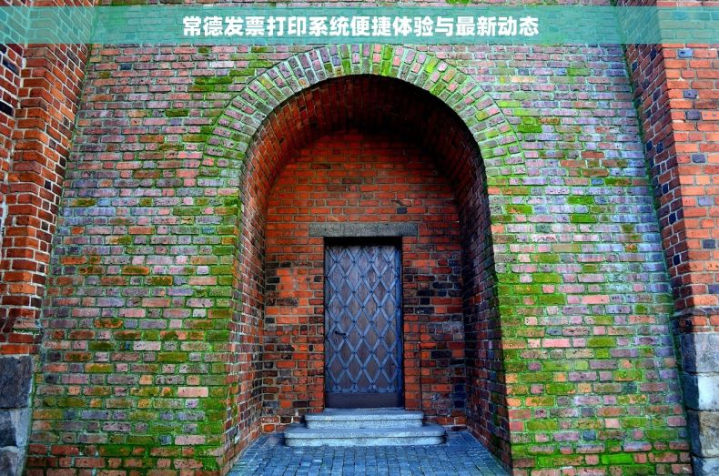 常德发票打印系统便捷体验与最新动态
