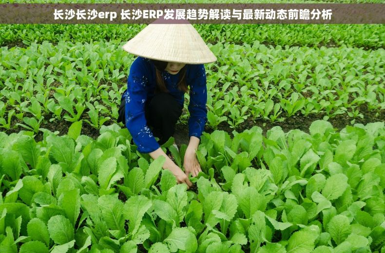 长沙长沙erp 长沙ERP发展趋势解读与最新动态前瞻分析