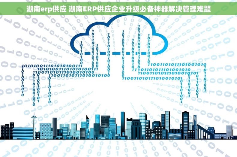 湖南erp供应 湖南ERP供应企业升级必备神器解决管理难题