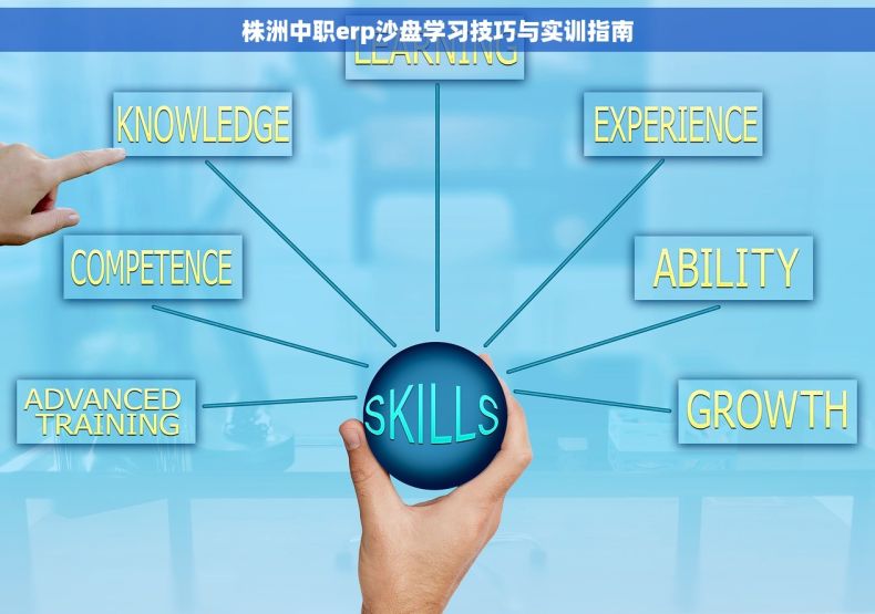 株洲中职erp沙盘学习技巧与实训指南