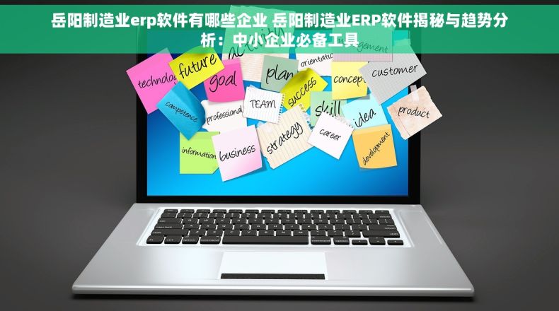 岳阳制造业erp软件有哪些企业 岳阳制造业ERP软件揭秘与趋势分析：中小企业必备工具