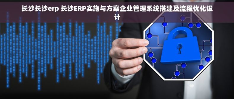 长沙长沙erp 长沙ERP实施与方案企业管理系统搭建及流程优化设计