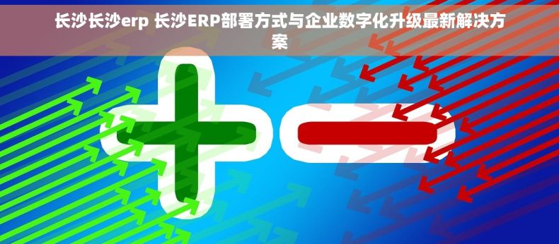 长沙长沙erp 长沙ERP部署方式与企业数字化升级最新解决方案