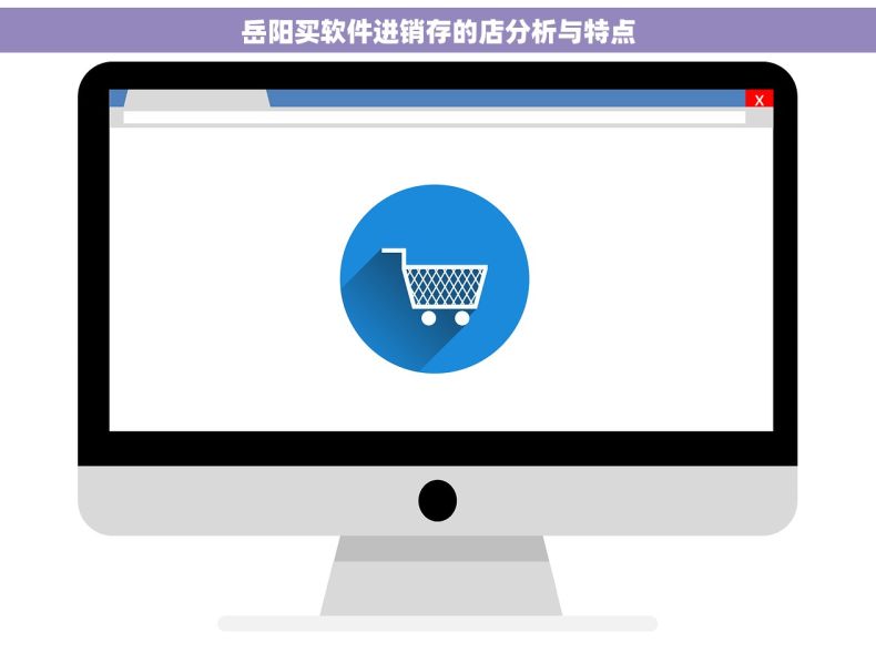 岳阳买软件进销存的店分析与特点