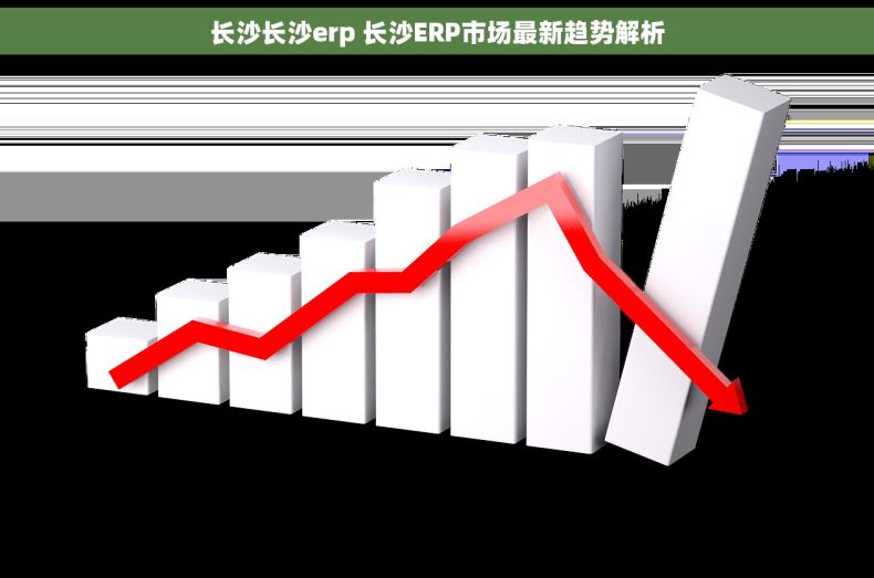 长沙长沙erp 长沙ERP市场最新趋势解析