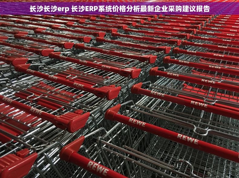 长沙长沙erp 长沙ERP系统价格分析最新企业采购建议报告