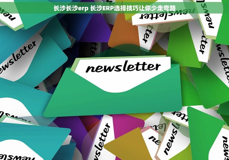 长沙长沙erp 长沙ERP选择技巧让你少走弯路