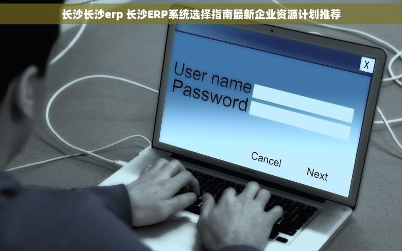 长沙长沙erp 长沙ERP系统选择指南最新企业资源计划推荐