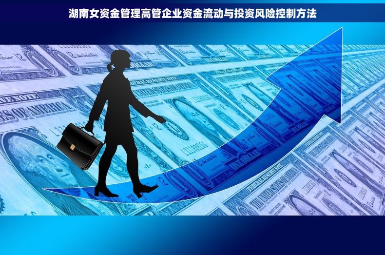 湖南女资金管理高管企业资金流动与投资风险控制方法