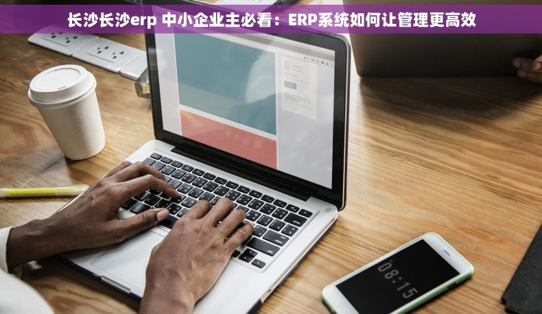 长沙长沙erp 中小企业主必看：ERP系统如何让管理更高效