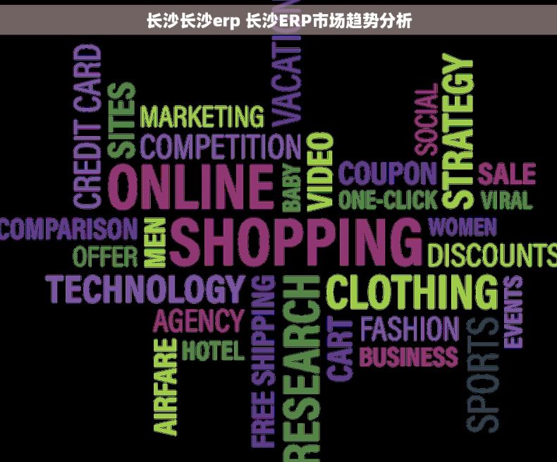 长沙长沙erp 长沙ERP市场趋势分析
