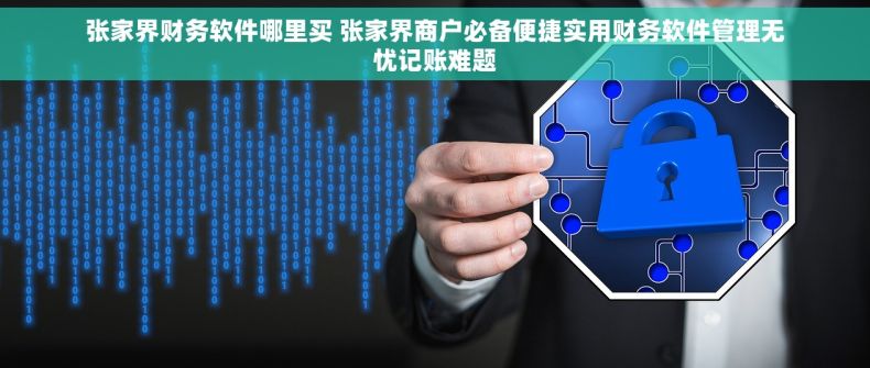 张家界财务软件哪里买 张家界商户必备便捷实用财务软件管理无忧记账难题