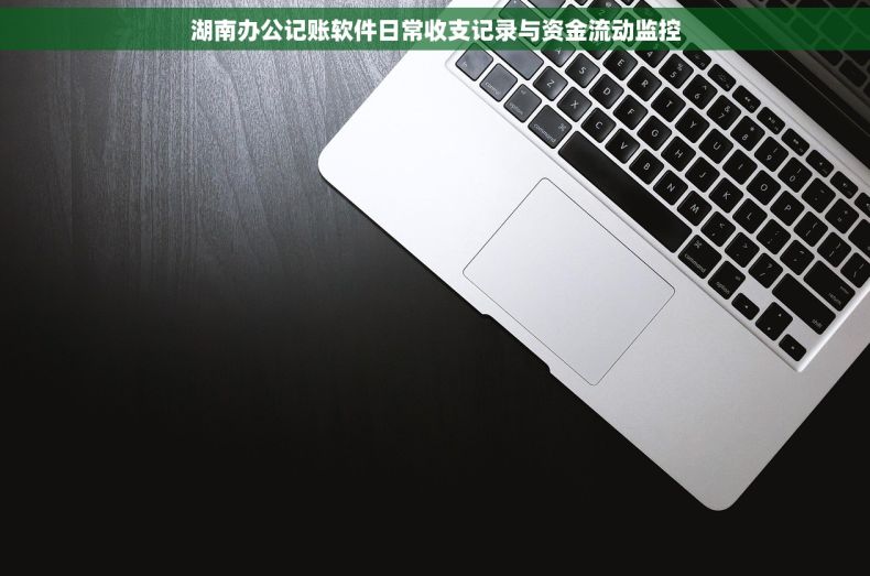 湖南办公记账软件日常收支记录与资金流动监控