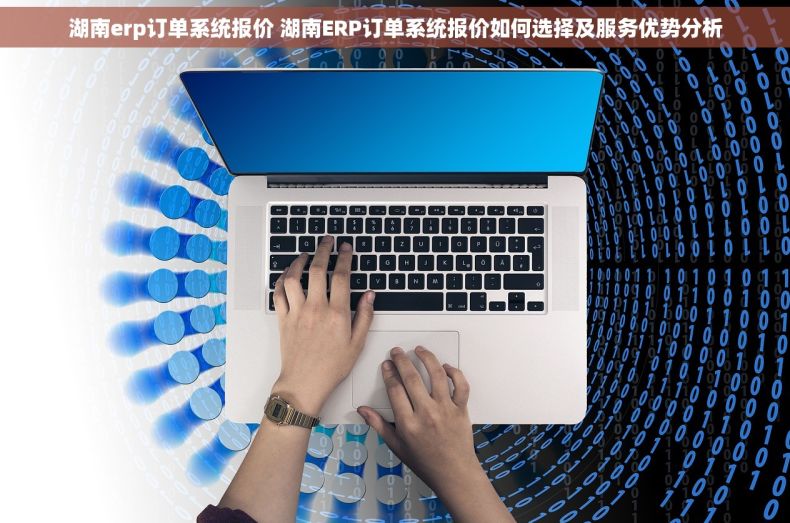 湖南erp订单系统报价 湖南ERP订单系统报价如何选择及服务优势分析
