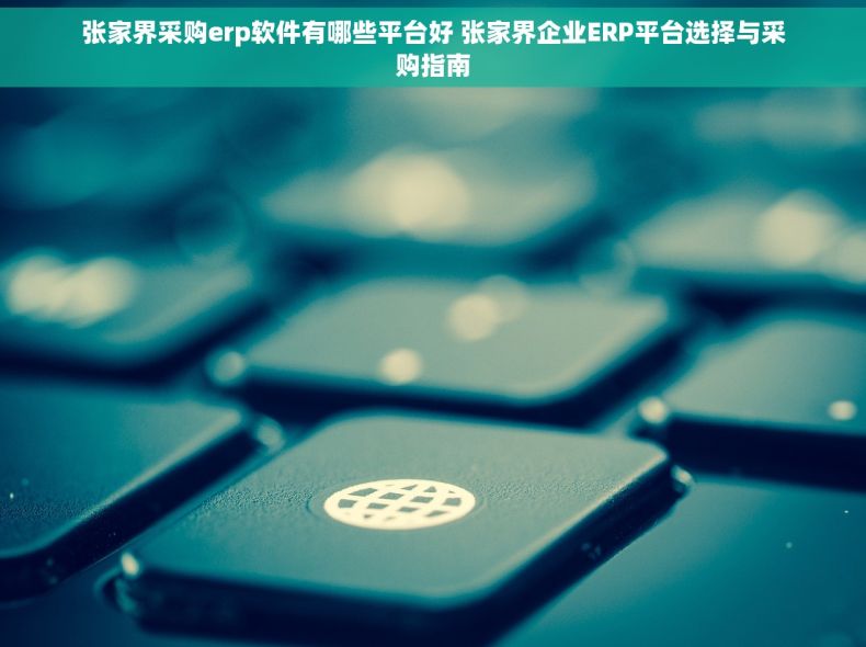 张家界采购erp软件有哪些平台好 张家界企业ERP平台选择与采购指南
