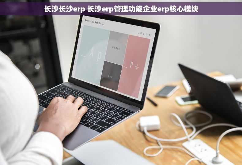 长沙长沙erp 长沙erp管理功能企业erp核心模块