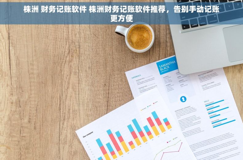 株洲 财务记账软件 株洲财务记账软件推荐，告别手动记账更方便