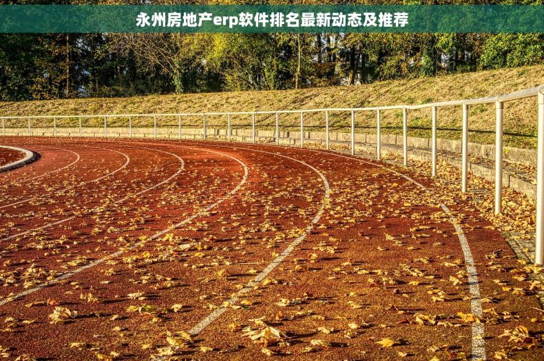 永州房地产erp软件排名最新动态及推荐