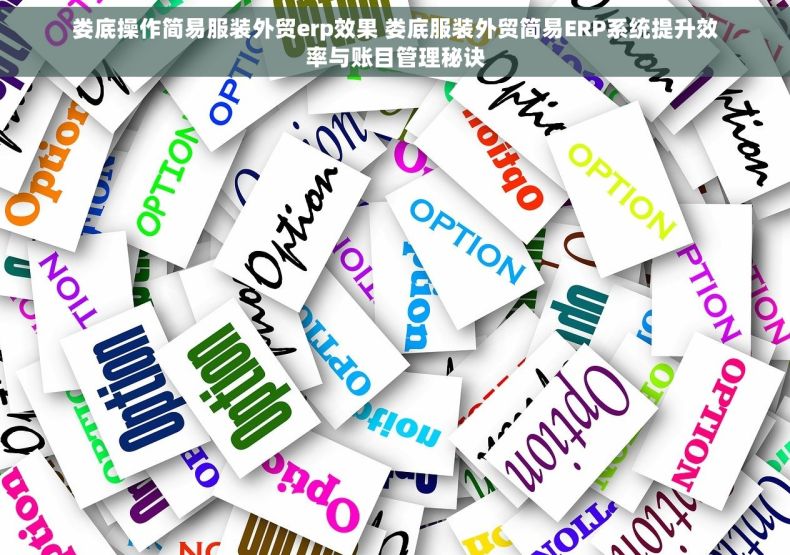 娄底操作简易服装外贸erp效果 娄底服装外贸简易ERP系统提升效率与账目管理秘诀