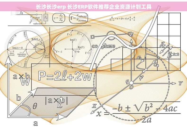 长沙长沙erp 长沙ERP软件推荐企业资源计划工具