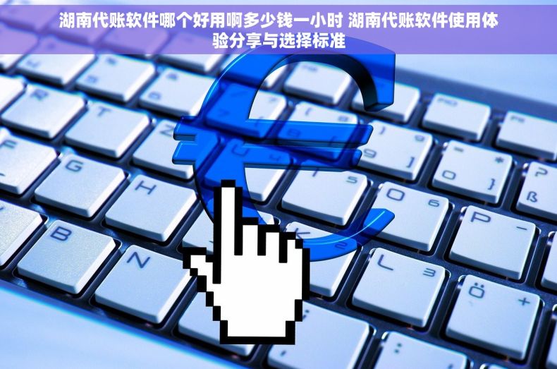 湖南代账软件哪个好用啊多少钱一小时 湖南代账软件使用体验分享与选择标准
