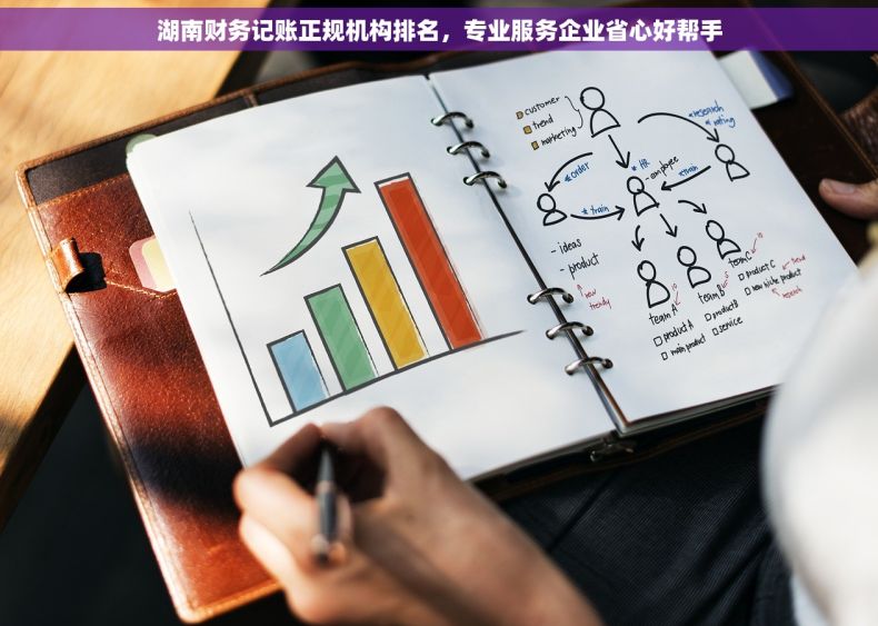 湖南财务记账正规机构排名，专业服务企业省心好帮手