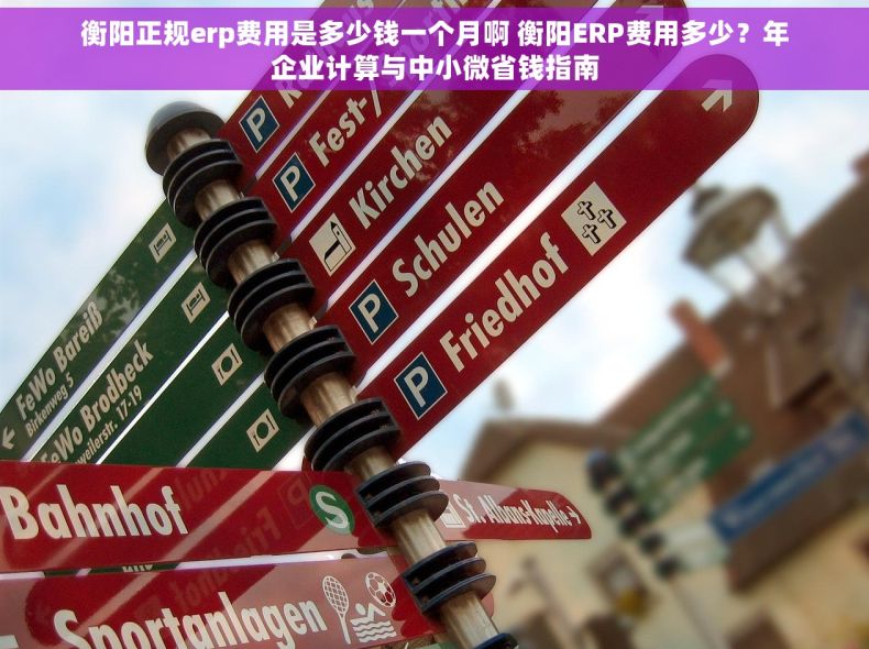 衡阳正规erp费用是多少钱一个月啊 衡阳ERP费用多少？年企业计算与中小微省钱指南