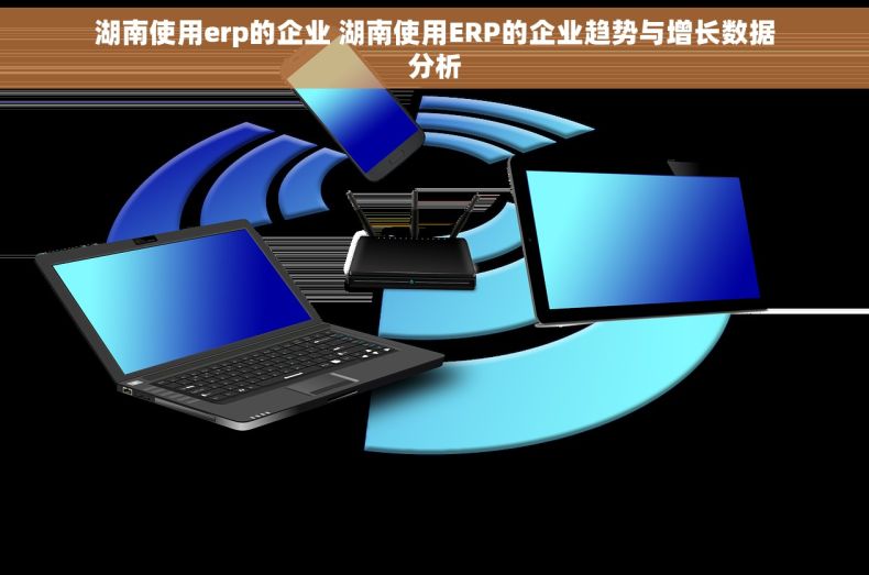 湖南使用erp的企业 湖南使用ERP的企业趋势与增长数据分析