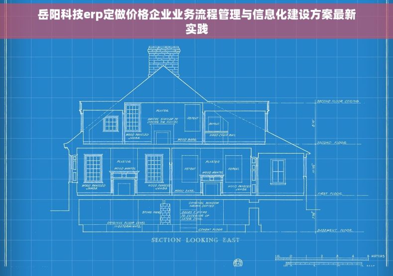 岳阳科技erp定做价格企业业务流程管理与信息化建设方案最新实践
