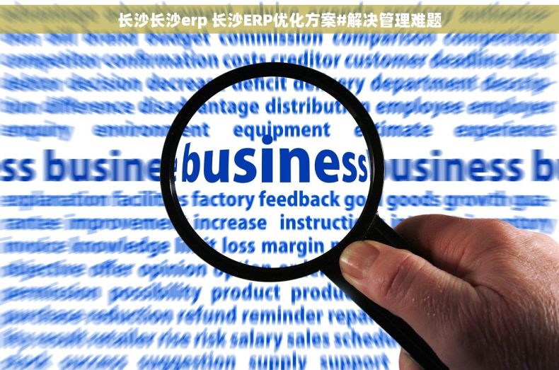 长沙长沙erp 长沙ERP优化方案#解决管理难题