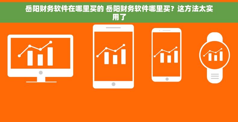 岳阳财务软件在哪里买的 岳阳财务软件哪里买？这方法太实用了