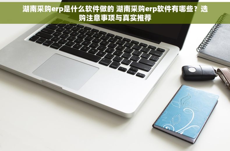 湖南采购erp是什么软件做的 湖南采购erp软件有哪些？选购注意事项与真实推荐