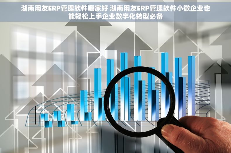 湖南用友ERP管理软件哪家好 湖南用友ERP管理软件小微企业也能轻松上手企业数字化转型必备