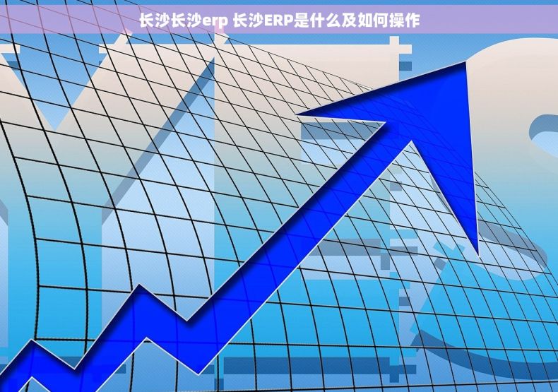 长沙长沙erp 长沙ERP是什么及如何操作