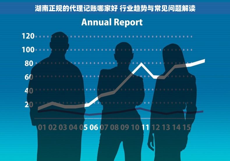 湖南正规的代理记账哪家好 行业趋势与常见问题解读