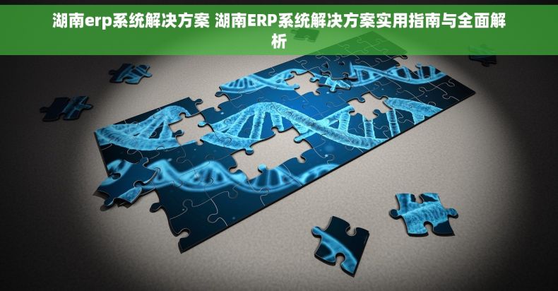 湖南erp系统解决方案 湖南ERP系统解决方案实用指南与全面解析