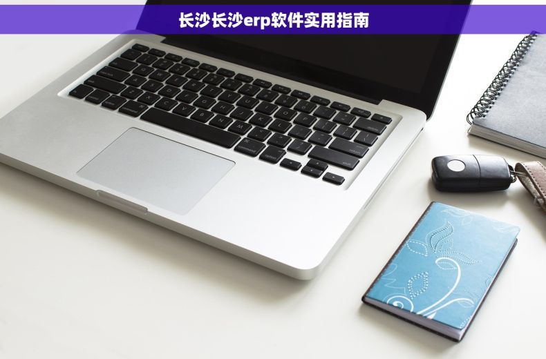 长沙长沙erp软件实用指南