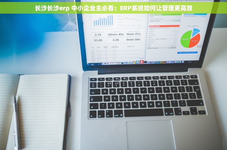 长沙长沙erp 中小企业主必看：ERP系统如何让管理更高效