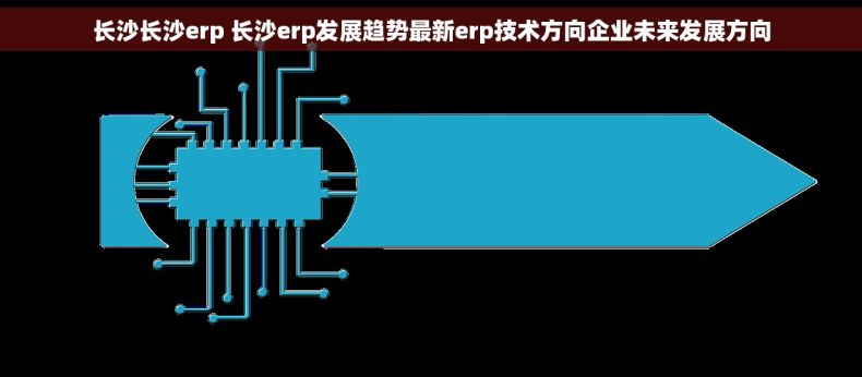 长沙长沙erp 长沙erp发展趋势最新erp技术方向企业未来发展方向