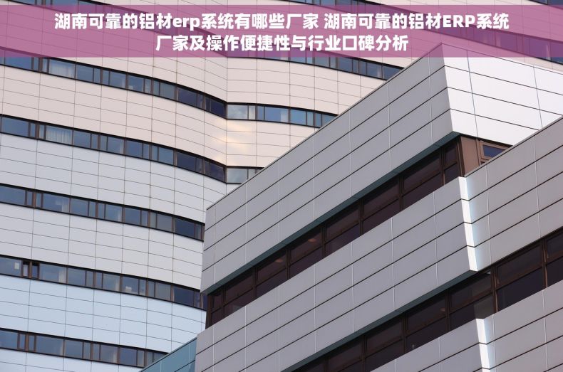 湖南可靠的铝材erp系统有哪些厂家 湖南可靠的铝材ERP系统厂家及操作便捷性与行业口碑分析